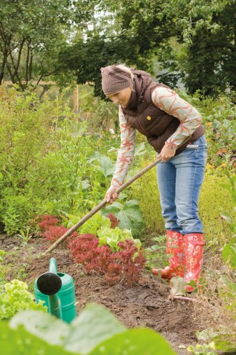 social media gardening